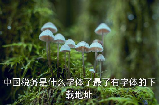 中國稅務(wù)是什么字體，中國稅務(wù)是什么字體了最了有字體的下載地址
