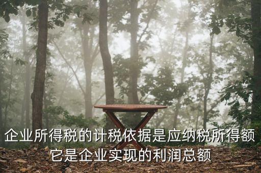 企業(yè)所得稅的計(jì)稅依據(jù)是應(yīng)納稅所得額它是企業(yè)實(shí)現(xiàn)的利潤總額