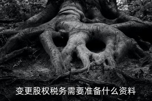 股權(quán)變更完稅憑證需要什么資料，變更股權(quán)稅務(wù)需要準備什么資料