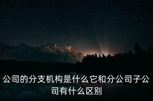 公司的分支機構(gòu)是什么它和分公司子公司有什么區(qū)別