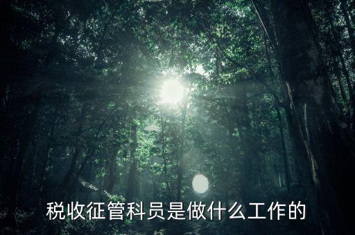 國稅局征管員和企業(yè)要做什么，稅收征管的公務(wù)員主要做什么工作