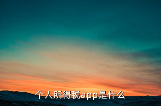 網(wǎng)上交稅要下載什么東西，個人所得稅官網(wǎng)登錄企業(yè)個人所得稅要下載什么端口申報