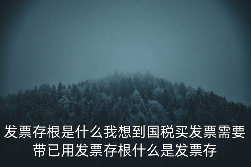 發(fā)票電子存根是什么，發(fā)票存根是什么