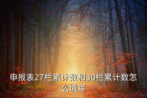 什么是期初未繳稅額，申報(bào)表27欄累計(jì)數(shù)和30欄累計(jì)數(shù)怎么填寫