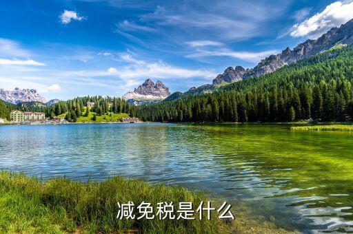 什么是減免稅，什么是特定減免稅