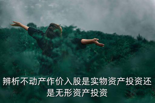 辨析不動產作價入股是實物資產投資還是無形資產投資