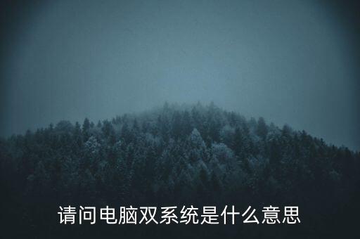 請(qǐng)問電腦雙系統(tǒng)是什么意思