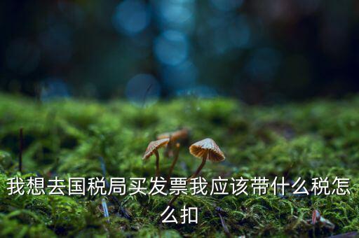 去國(guó)稅局扣稅需帶什么，我想去國(guó)稅局買(mǎi)發(fā)票我應(yīng)該帶什么稅怎么扣