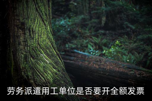 勞務(wù)派遣開什么票，勞務(wù)派遣小時(shí)工發(fā)票怎么開