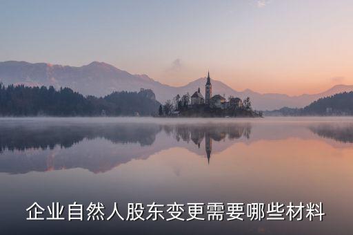變更自然人登記業(yè)務(wù)需要帶什么，企業(yè)自然人股東變更需要哪些材料