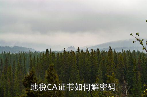 地稅CA證書如何解密碼