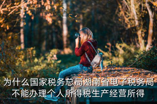電子稅務(wù)局里面為什么沒有個稅，個人所得稅查不到怎么回事