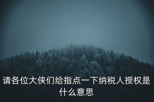 納稅人獲得感是什么意思，請(qǐng)各位大俠們給指點(diǎn)一下納稅人授權(quán)是什么意思