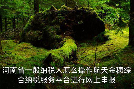 河南省一般納稅人怎么操作航天金穗綜合納稅服務(wù)平臺進(jìn)行網(wǎng)上申報