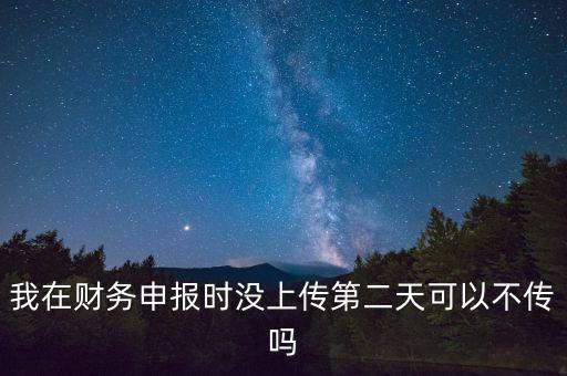 我在財(cái)務(wù)申報(bào)時(shí)沒上傳第二天可以不傳嗎