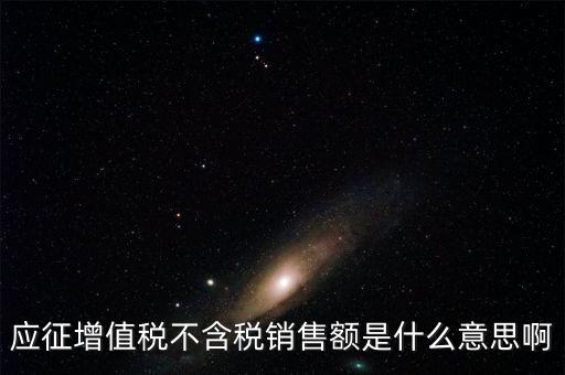應(yīng)征增值稅不含稅銷(xiāo)售額是什么意思啊