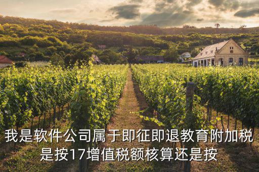 軟件企業(yè)交什么稅，軟件企業(yè)增值稅即征即退指的是什么