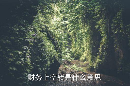 財(cái)務(wù)上空轉(zhuǎn)是什么意思
