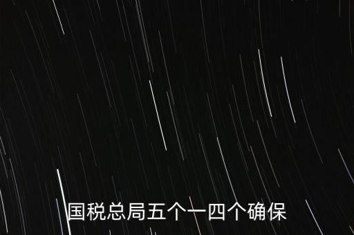 稅務局五個一是什么時候，國稅總局五個一四個確保