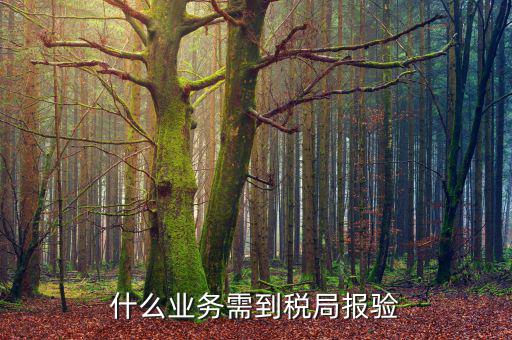 外出經(jīng)營(yíng)報(bào)驗(yàn)是什么，什么業(yè)務(wù)需到稅局報(bào)驗(yàn)