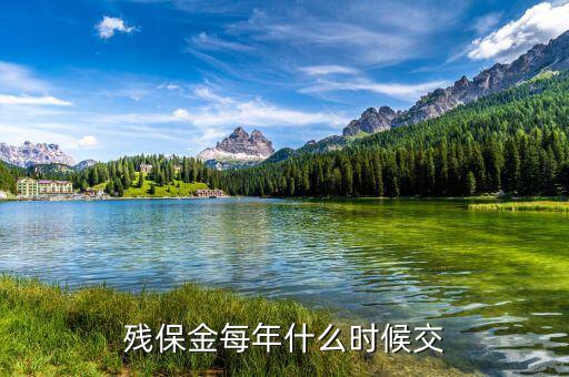 殘保金每年什么時候交