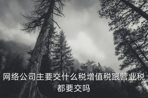 互聯(lián)網(wǎng)企業(yè)交什么稅，互聯(lián)網(wǎng)公司在稅收上有何政策