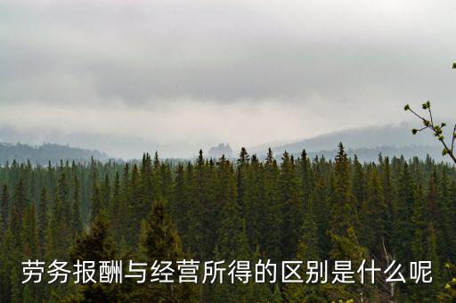 什么是經(jīng)營所得，個(gè)體工商戶的生產(chǎn)經(jīng)營所得是指什么