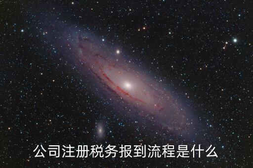 地稅預約什么號新企業(yè)報道，新注冊公司稅務報道怎么個流程