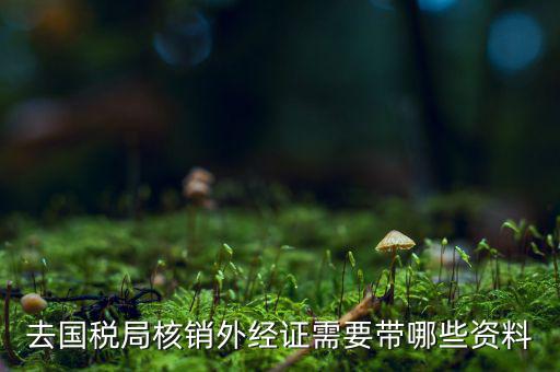 核銷(xiāo)外經(jīng)證地稅那做什么，去國(guó)稅局核銷(xiāo)外經(jīng)證需要帶哪些資料