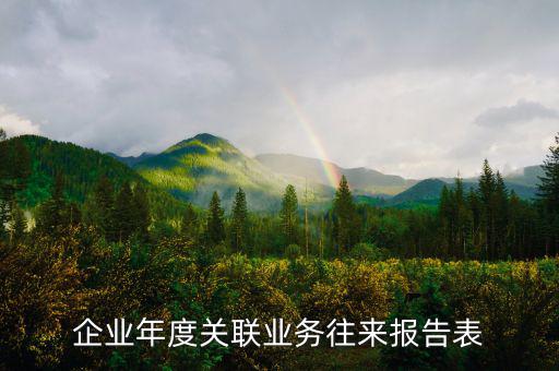 企業(yè)年度關(guān)聯(lián)業(yè)務(wù)往來報告表