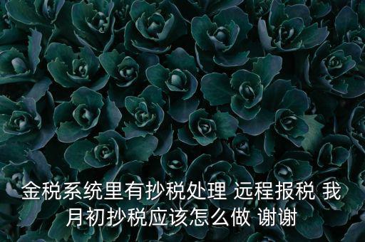 金稅系統(tǒng)里有抄稅處理 遠(yuǎn)程報稅 我月初抄稅應(yīng)該怎么做 謝謝