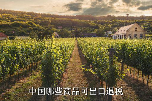 什么貨物出口可以退稅，中國哪些商品可出口退稅