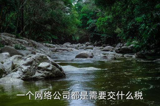 互聯(lián)網(wǎng)公司交什么稅，做互聯(lián)網(wǎng)服務行業(yè)要交多少稅