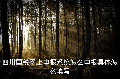 四川國稅網上申報系統(tǒng)怎么申報具體怎么填寫