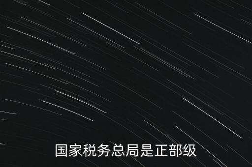 稅務(wù)大廳主任什么級別，金河鎮(zhèn)稅務(wù)務(wù)局局長是什么級別