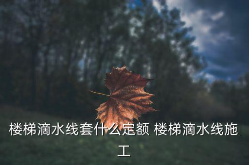 江蘇滴水套什么定額，滴水線套什么定額