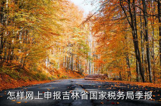 怎樣網(wǎng)上申報吉林省國家稅務局季報