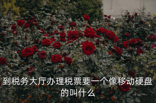 稅務磁盤什么樣，我要正確的答案
