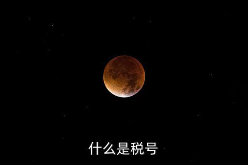 陜西省國家稅務(wù)局稅號(hào)是什么，什么是稅號(hào)