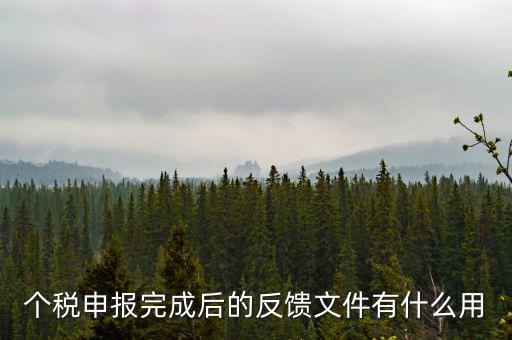 個(gè)稅申報(bào)完成后的反饋文件有什么用