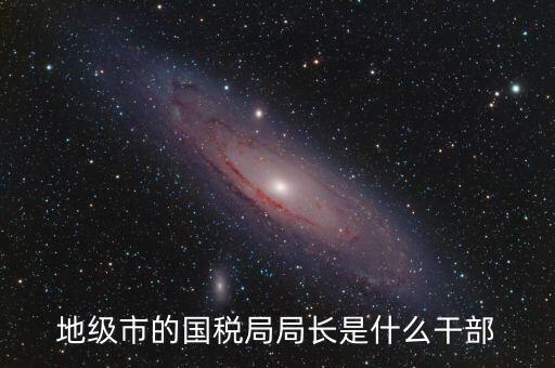 地級市的國稅局局長是什么干部