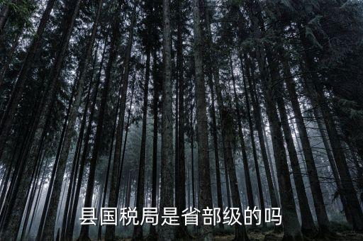 縣國(guó)稅局是省部級(jí)的嗎