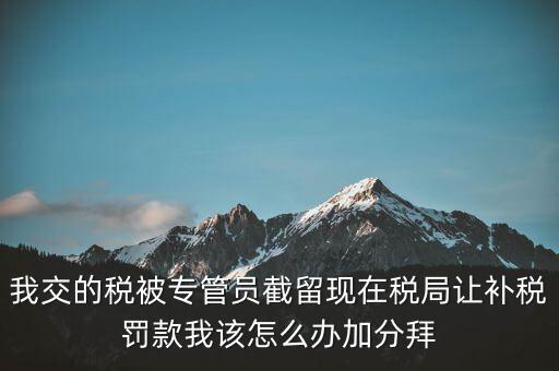 稅務(wù)人員截留稅款受什么處分，我交的稅被專管員截留現(xiàn)在稅局讓補稅罰款我該怎么辦加分拜