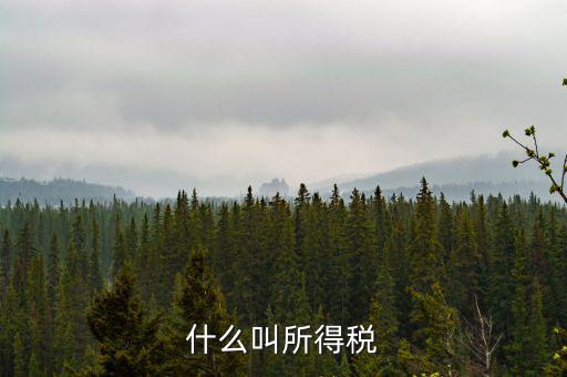 居民企業(yè)所得稅是什么，居民企業(yè)所得稅月度預(yù)繳納稅申報(bào)收入指什么時(shí)候的
