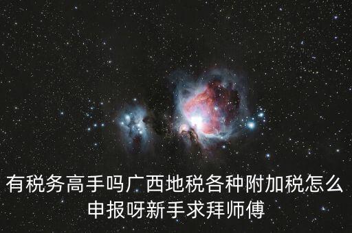 廣西地稅每個(gè)月要申報(bào)什么內(nèi)容，有稅務(wù)高手嗎廣西地稅各種附加稅怎么申報(bào)呀新手求拜師傅