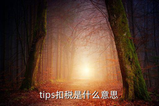 國稅tips系統(tǒng)指什么意思，電子對賬單上摘要一欄寫有tips是什么意思