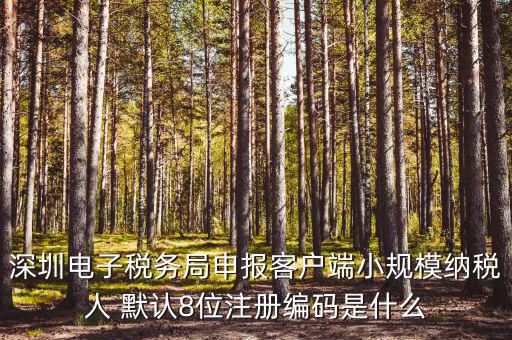 深圳納稅人編號(hào)是什么，什么是深圳市國稅百元開頭發(fā)票的納稅人識(shí)別號(hào)