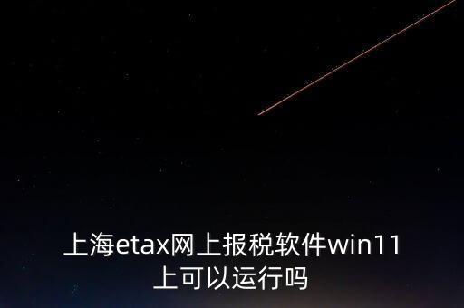 上海網(wǎng)上報稅什么軟件，上海etax網(wǎng)上報稅軟件win11上可以運行嗎
