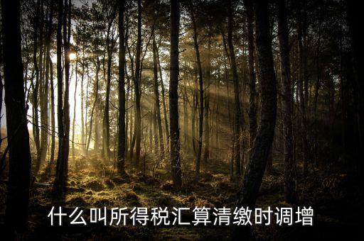 匯算清繳調(diào)增指什么，匯算清繳時全額調(diào)增利息支出說非業(yè)務(wù)往來占用資金是什么意思
