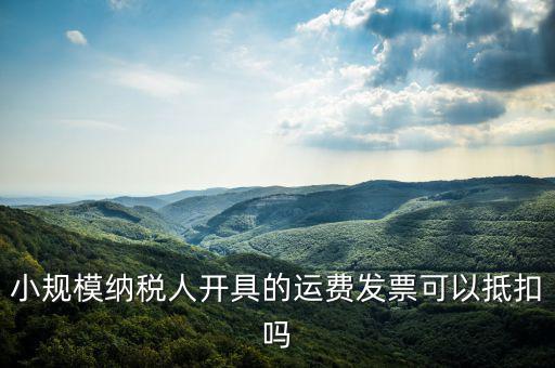 什么樣的運(yùn)費(fèi)票可以抵，運(yùn)輸費(fèi)增值稅都能用什么票抵扣